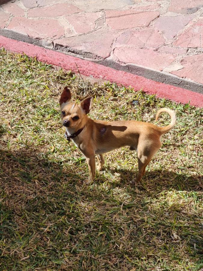 Hostal Iká Chihuahua Exterior foto